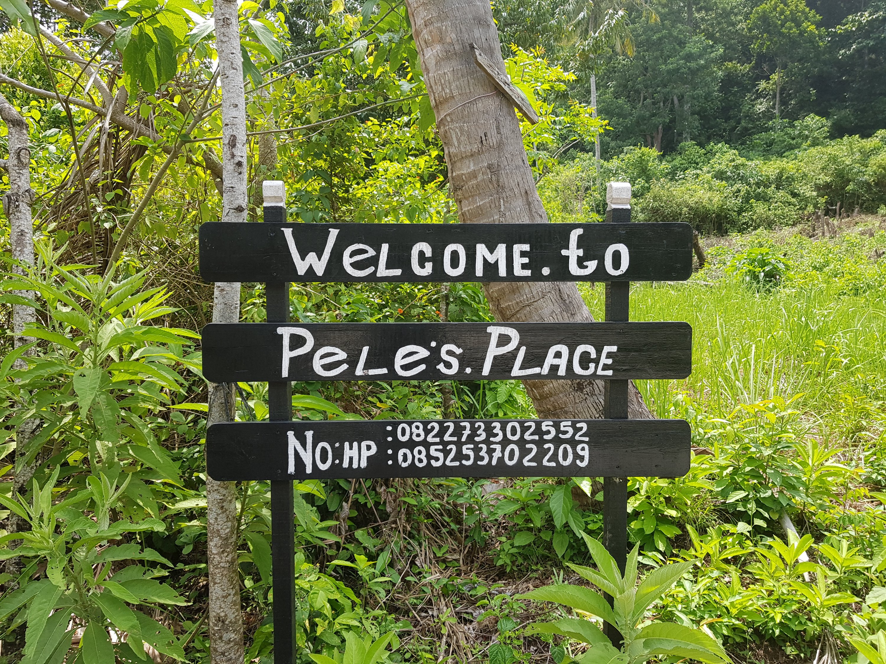 This image has an empty alt attribute; its file name is 20180408_1131521366948237.jpg