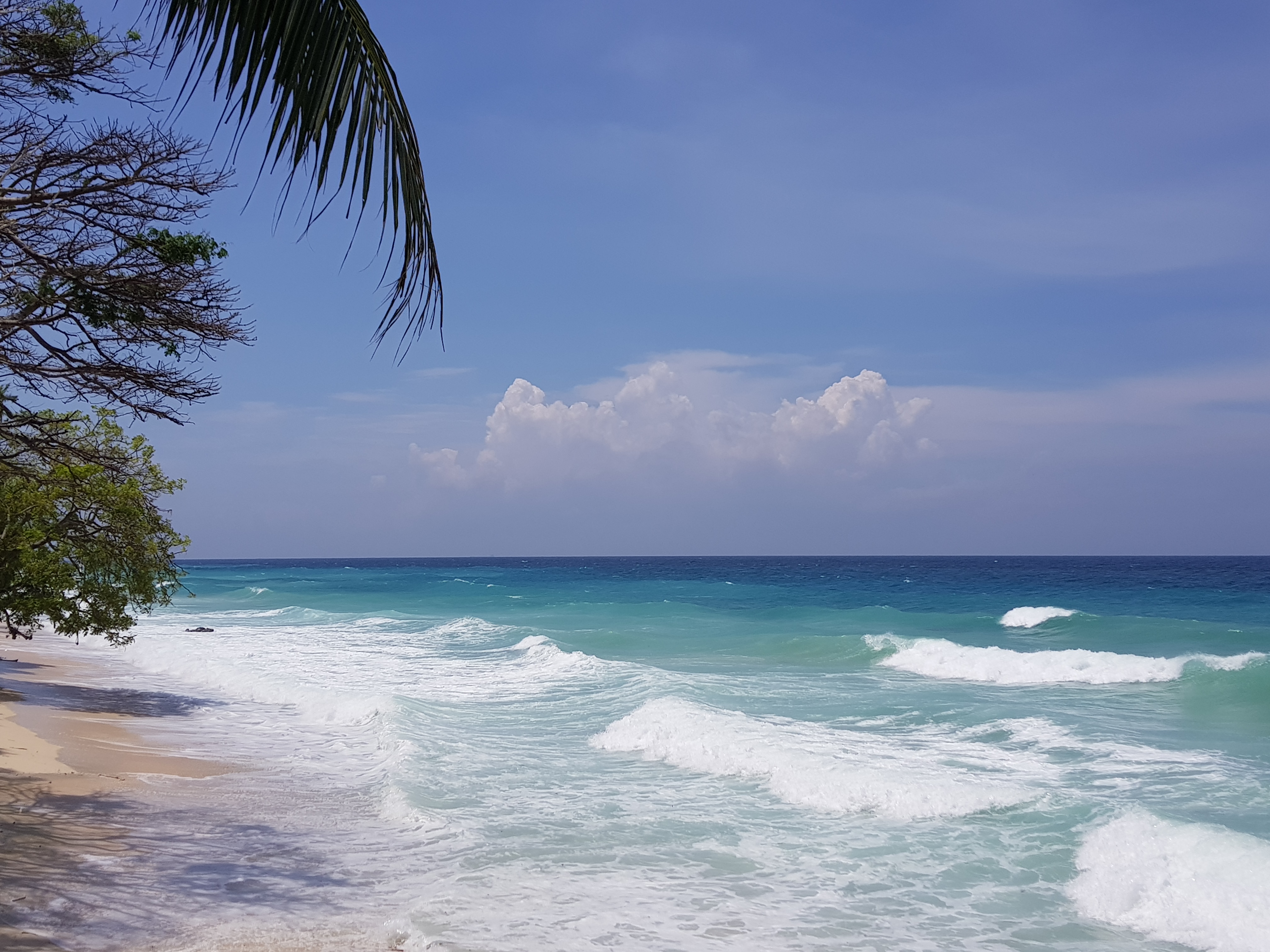 This image has an empty alt attribute; its file name is 20180409_134059.jpg