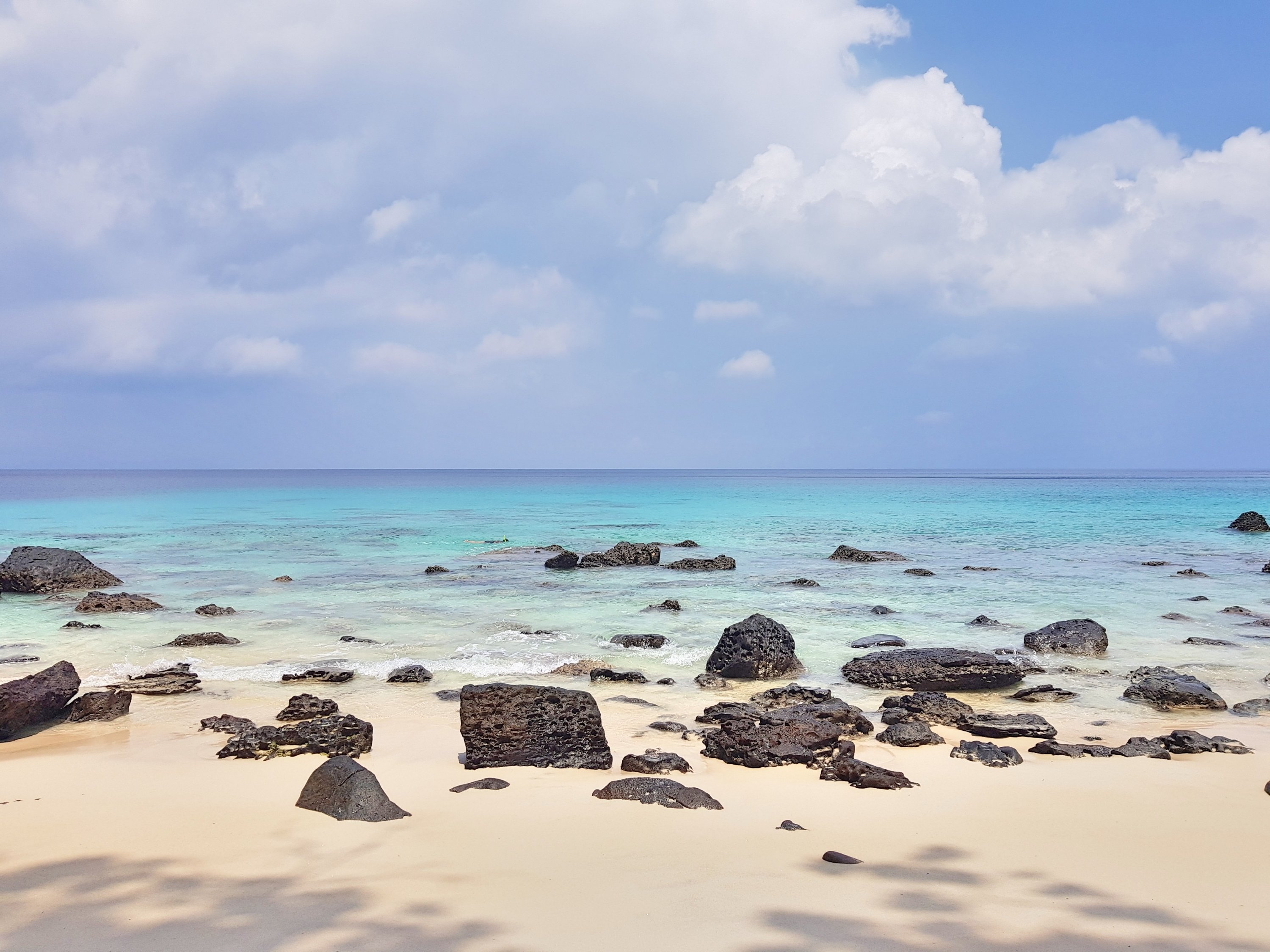 This image has an empty alt attribute; its file name is fotor_1524108940644561494366270.jpg