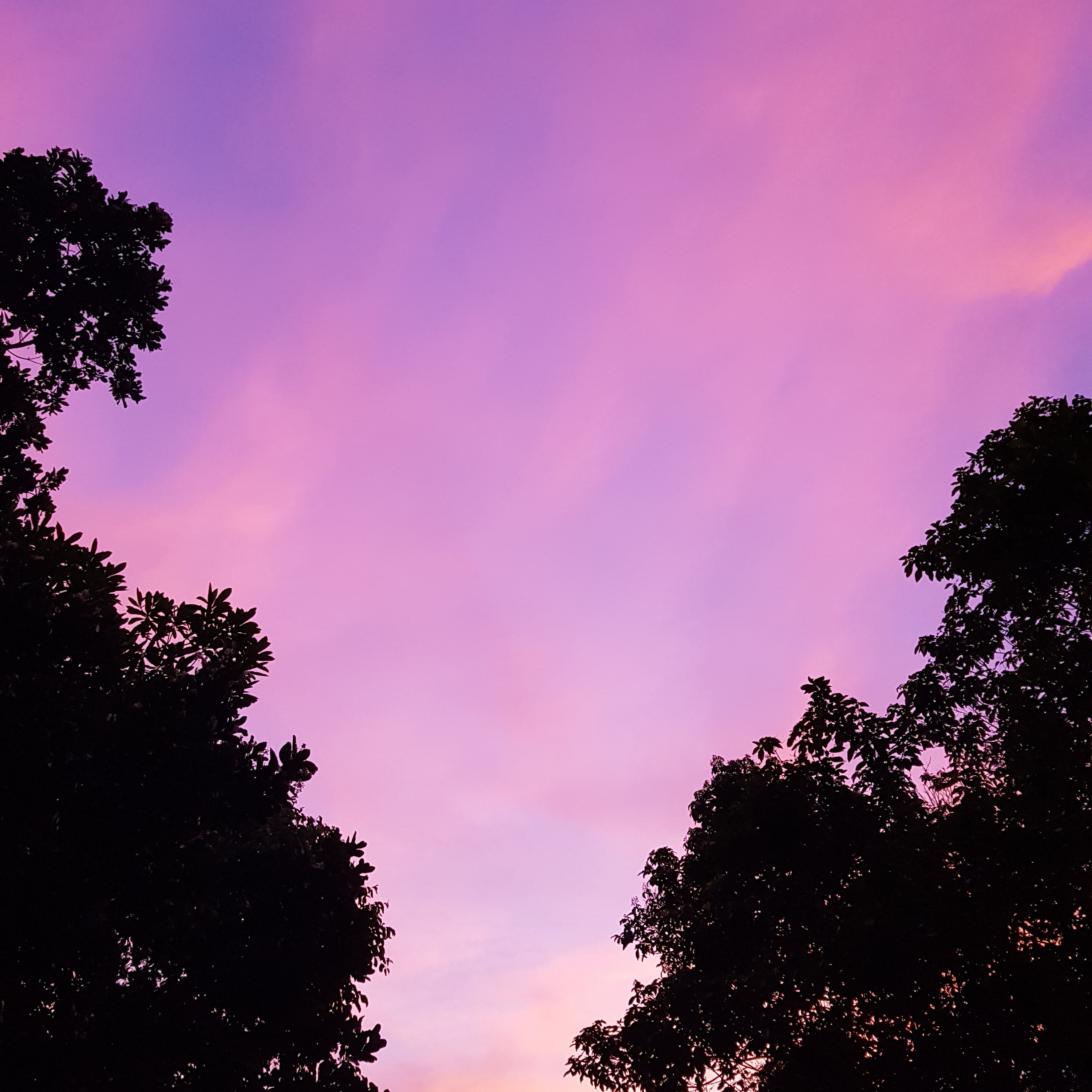 This image has an empty alt attribute; its file name is img_20180415_042144_42283360082.jpg